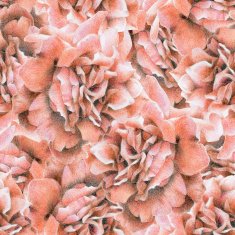 seamless pattern with beautiful roses N17