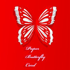 Greeting card with paper butterfly N3