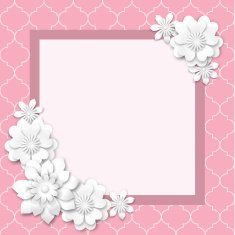 pink image frame with white 3d flowers N2