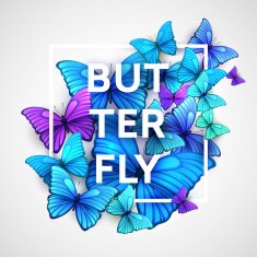 The modern poster with beautiful butterflies Vector illustration N2