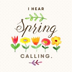 Spring label
