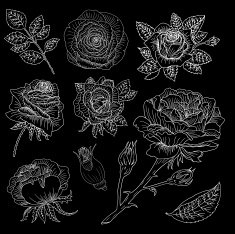 Design set with silhouettes of roses and leaves
