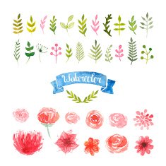 Watercolor flowers laurels and leaves
