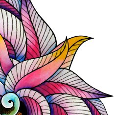 Flower card N34