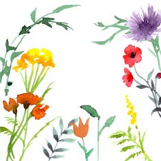 Vintage Retro Background with Wildflowers N4
