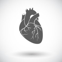 Heart Flat Icon N14