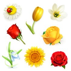 Flowers set vector N2