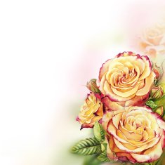 Yellow - pink roses watercolor background N2