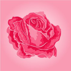 Rose pink simple vector