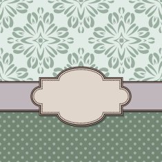 Vintage vector flower frame N81