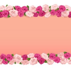 Vector Flower Frame N3