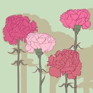Carnations N3