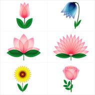 Beautiful rose tulip bell flower aster lotus sunflower