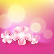 Beautiful pink flower background N3