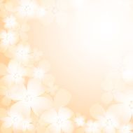 Beautiful orange flower background