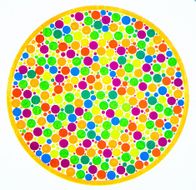 Color blind test -5 N2