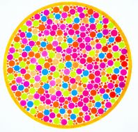 Color blind test -3