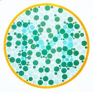 Color blind test -M