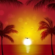 Tiny Paradise