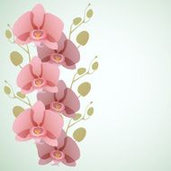 Floral background with orchid