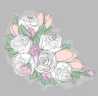 Bright peony N4
