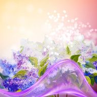 Lilac flowers background
