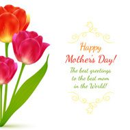 Buquet of tulips for Mother&#039;s Day