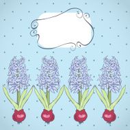 Card design with blooming hyacinths Seasonal background N4