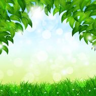 Green Nature Spring Background