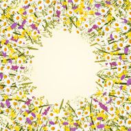 Wild flower frame
