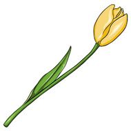 Vector Cartoon Isolated Illustration - Yellow Tulip