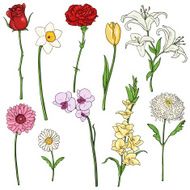Vector Set of color Cartoon Flowers