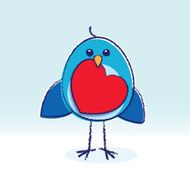 Staring Bluebird with Red Heart