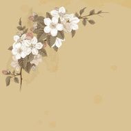 Branch blossoming apple