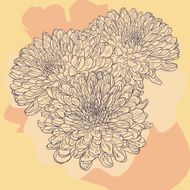 Floral card with chrysanthemum N3