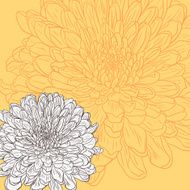 Floral card with chrysanthemum N4