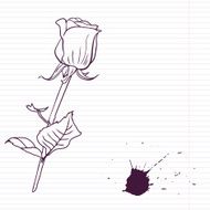 Ink drawing rose