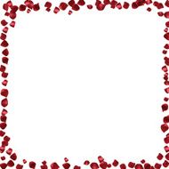 Red petals on a white background Abstract frame