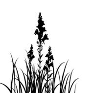 Silhouettes of flowers and grass N8