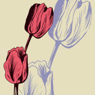 Vintage floral card with tulips
