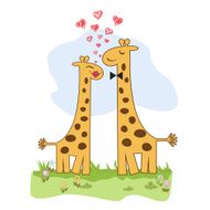 Funny giraffe couple in love N15