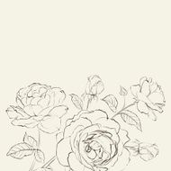Invitation card with roses N2