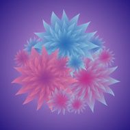 Flowers in Shades of Blue and Pink