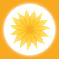 Sunny Yellow Flower in Orange Frame