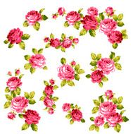 decoration of rose N21