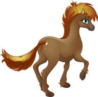 poni