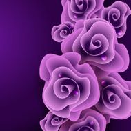 Rose N47