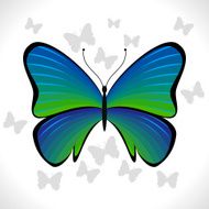 Colorful Butterfly N6