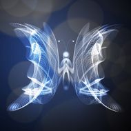 butterfly N79