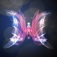 butterfly N80
